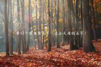 ​梦幻个性大唐名字（适合大唐的名字）