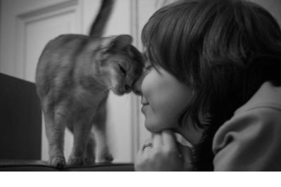 搬家累了的句子说说心情短语