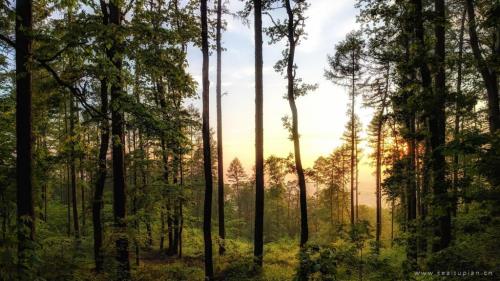 沉默的说说心情自己