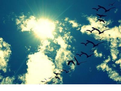 一个人心情烦的说说