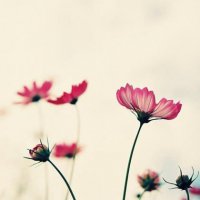 ​朋友圈内发心情说说被人误解 丢东西发朋友圈暗示的句子