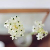 ​秋天的朋友圈心情短句 放假回家说说心情短语