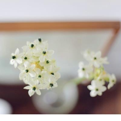 秋天的朋友圈心情短句