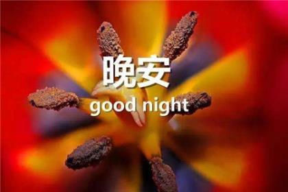 励志的句子说说心情早安