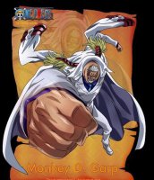 ​海贼王名字里有d代表什么(海贼王的含义是什么)