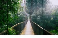 ​qq空间说说经典语录（qq说说心情短语）