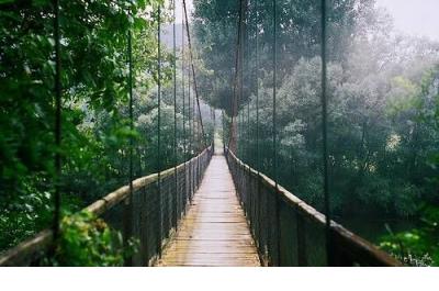 qq空间说说经典语录