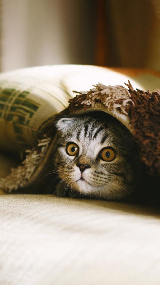 表示心情不好的词语二字