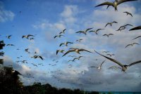 ​距离2023高考倒计时器 100 放假倒计时的心情说说