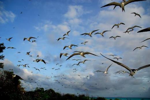 距离2023高考倒计时器