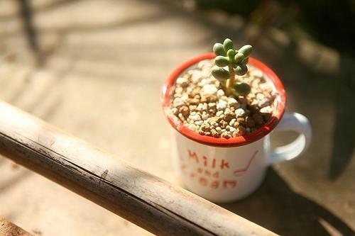 适合早安心情简单语录