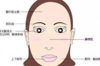 ​洋气的公司名称 最新颖旺财的企业名字