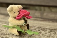 ​古典韵味的诗句网名，书香气息的唯美昵称