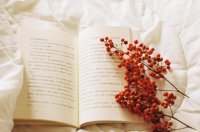 ​独一无二的二字昵称