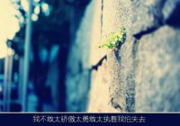 ​孤独剑客适合的名字（诗意霸气剑客名字）