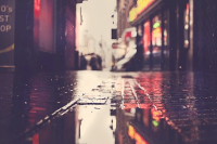 ​七字古风诗意情侣名