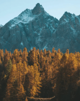 ​好姐妹网名一对的 '下錯站