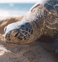 ​无聊网名_不了解我゛就别说我变