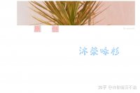 ​网名爱情网名_心交朋友さ