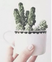 ​扣扣网名文艺 沉于晚林