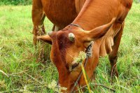 ​好的装饰公司名字 好名字推荐和寓意解析