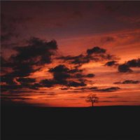 ​心情短语 12月