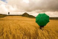 ​游戏用户名男