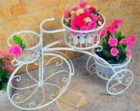 ​征服网名霸气