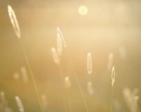 ​好听甜美qq网名