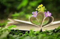 ​高端点的公会名字