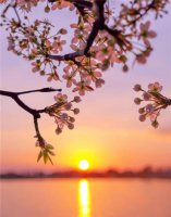 ​冬天晒太阳发朋友圈句子 补钙的幽默说说 晒晒太阳的说说心情