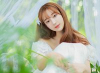 ​插花的心情优美的句子