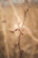 ​微信好听的说说大全（最好听的微信说说心情短语）