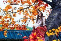 ​伤感四字网名，最新好听的伤感四字昵称