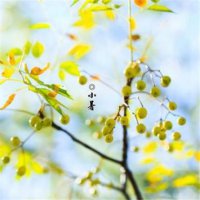 ​2023本命年说说心情短语 2023 雨天心情说说(24句)