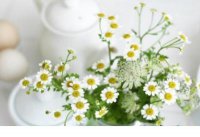 ​心很累失望伤感说说（伤心失望句子说说心情）