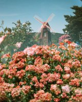 ​2023快手火爆昵称