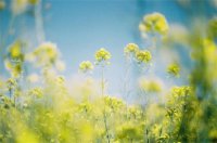 ​心情压抑沉重的句子（表达心里压抑孤独的句子）