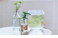 ​因为工作压抑憋屈的心情说说