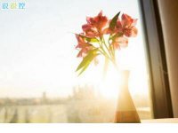 ​至创业女人伤感励志句子（励志的伤感句子经典语句）