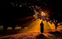 ​看破红尘的网名300个人情冷暖