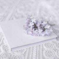 ​表达护士节心情的句子(表扬护士简短的话)