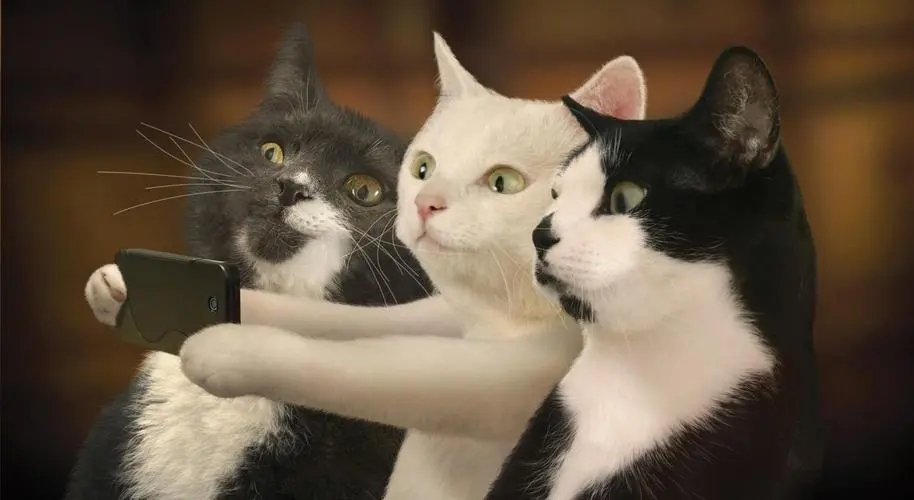 让人过目不忘的网名200个 一眼就吸引人的网名