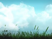 ​微博经典心情语录