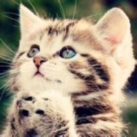 ​人生说说心情短语坚强