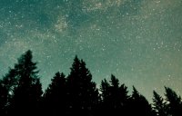 ​皮开头的网名大全精选115个