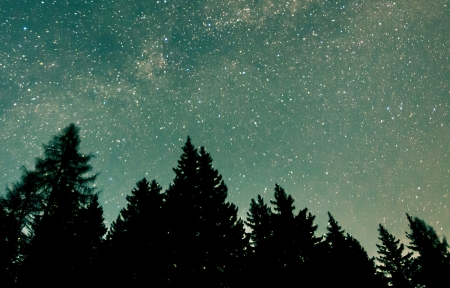 皮开头的网名大全精选115个