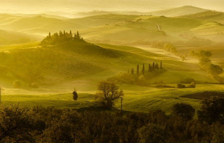 王者荣耀又菜又可爱的名字大全精选114个