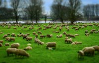 ​王者荣耀又菜又皮的名字大全精选98个