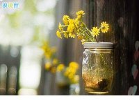 ​说说短 说说短语心情说说